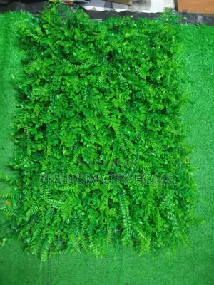 High Density Wall Hedges