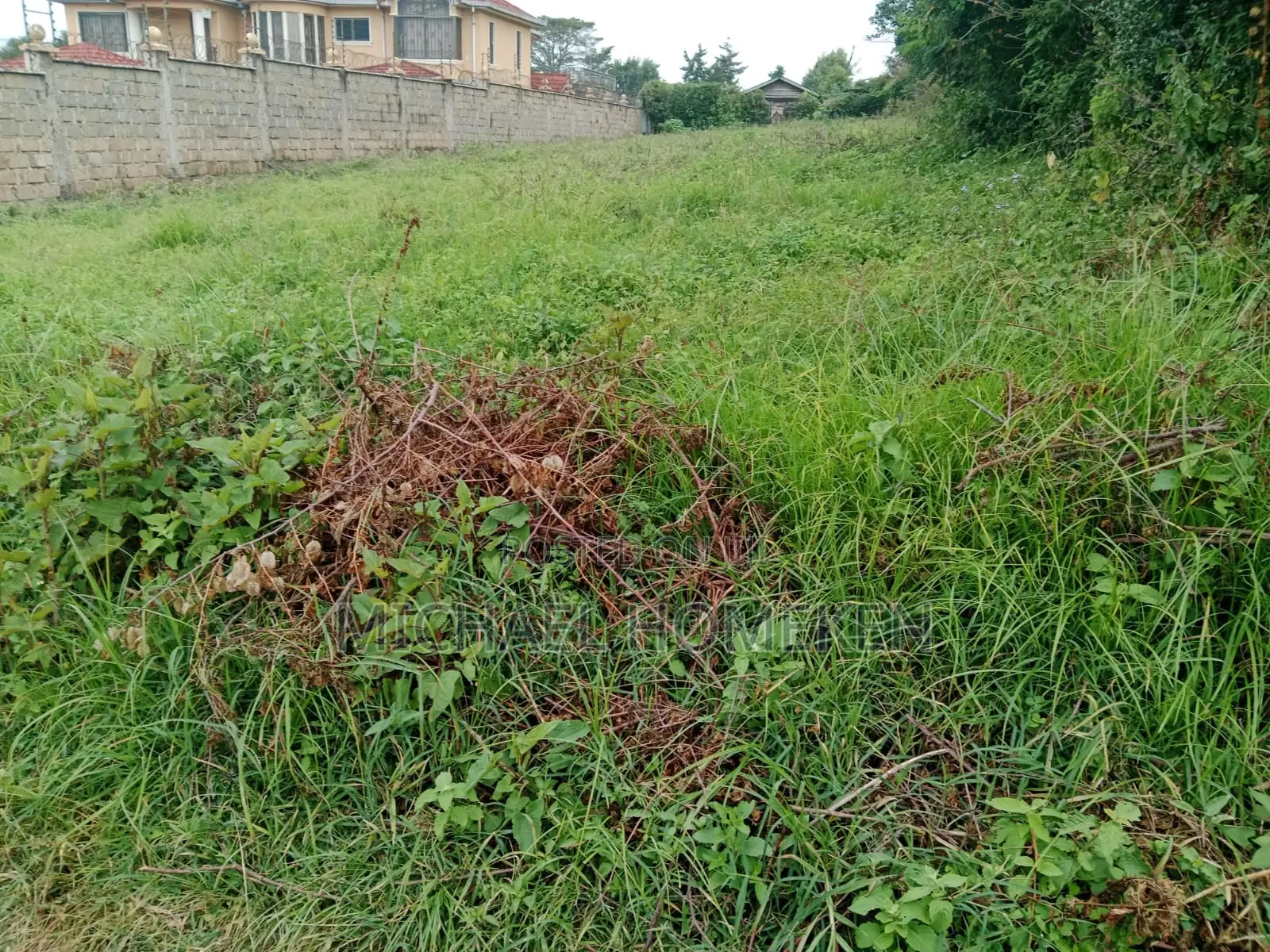1/4 Acre Plot for Sale in Ngong