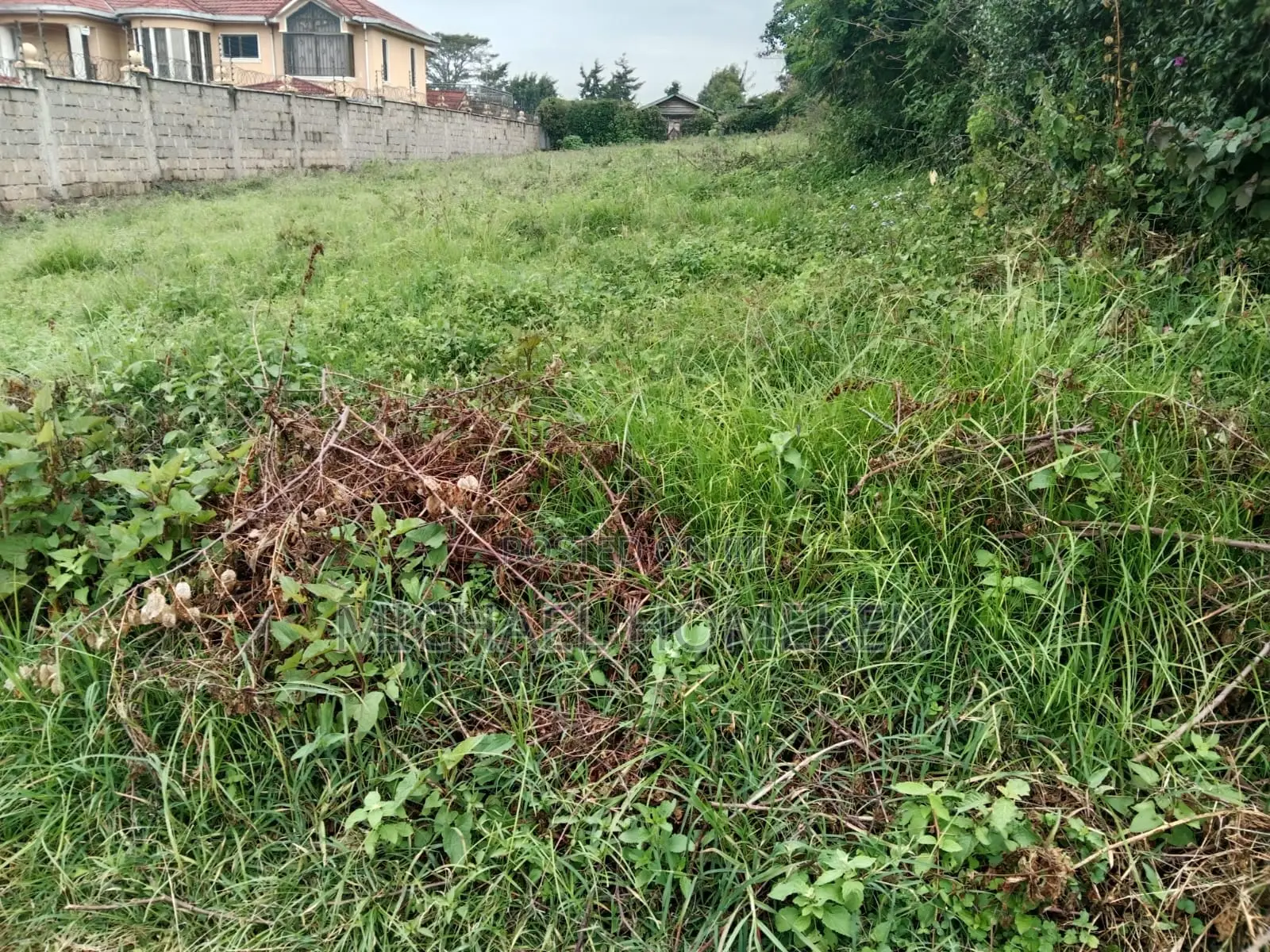 1/4 Acre Plot for Sale in Ngong