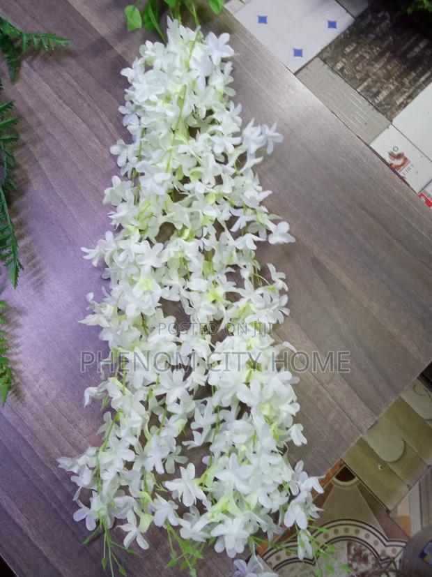 Decorative Hangings Vines