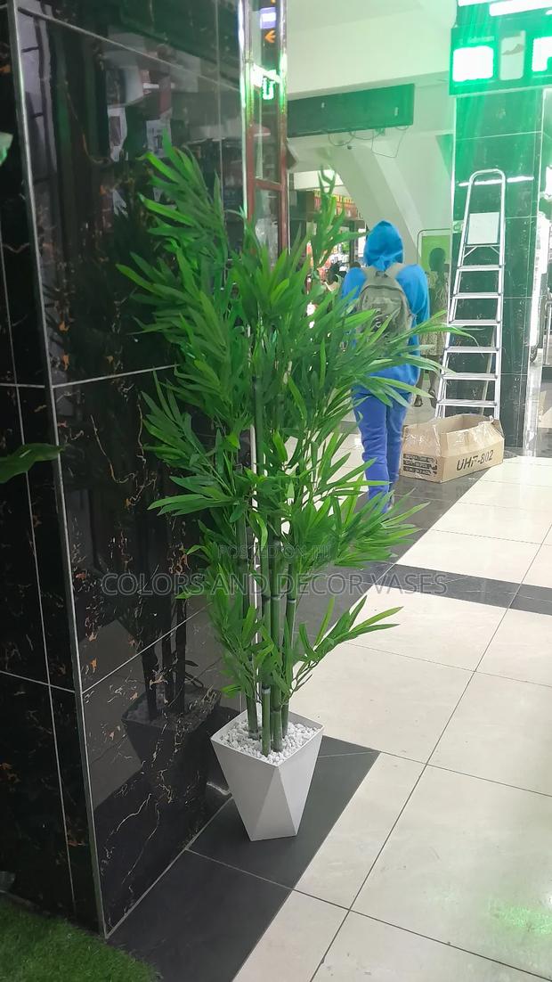 Bamboo Sticks With Plastic Vase 1.5m KSH 5500 - main view