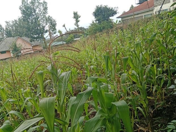 1/4 Acre for Sale in Ngong, Ololua - thumbnail 2
