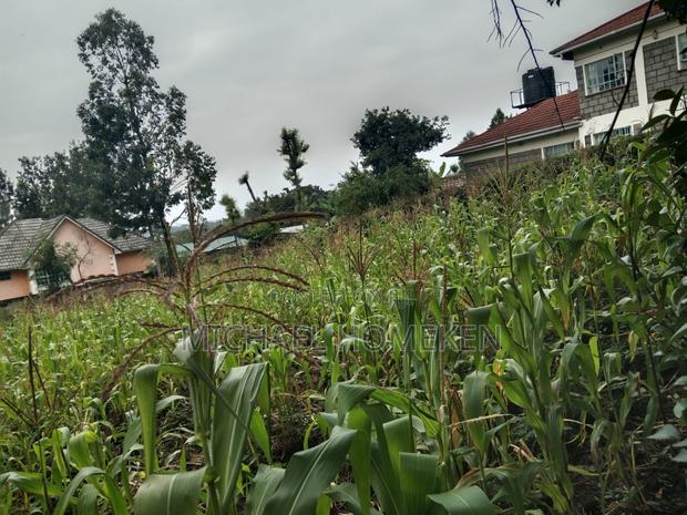 1/4 Acre for Sale in Ngong, Ololua - thumbnail 3