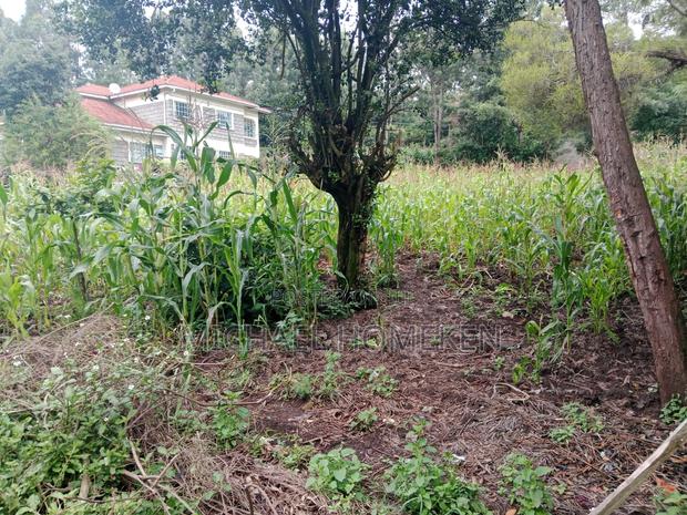 1/4 Acre for Sale in Ngong, Ololua - thumbnail 4