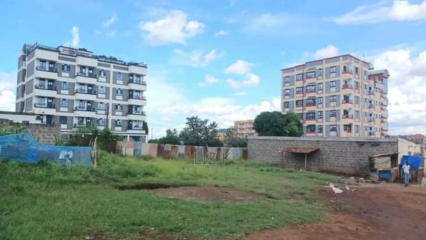 50X100 Commercial Plot in Ruiru Near Rainbow Resort. - thumbnail 3