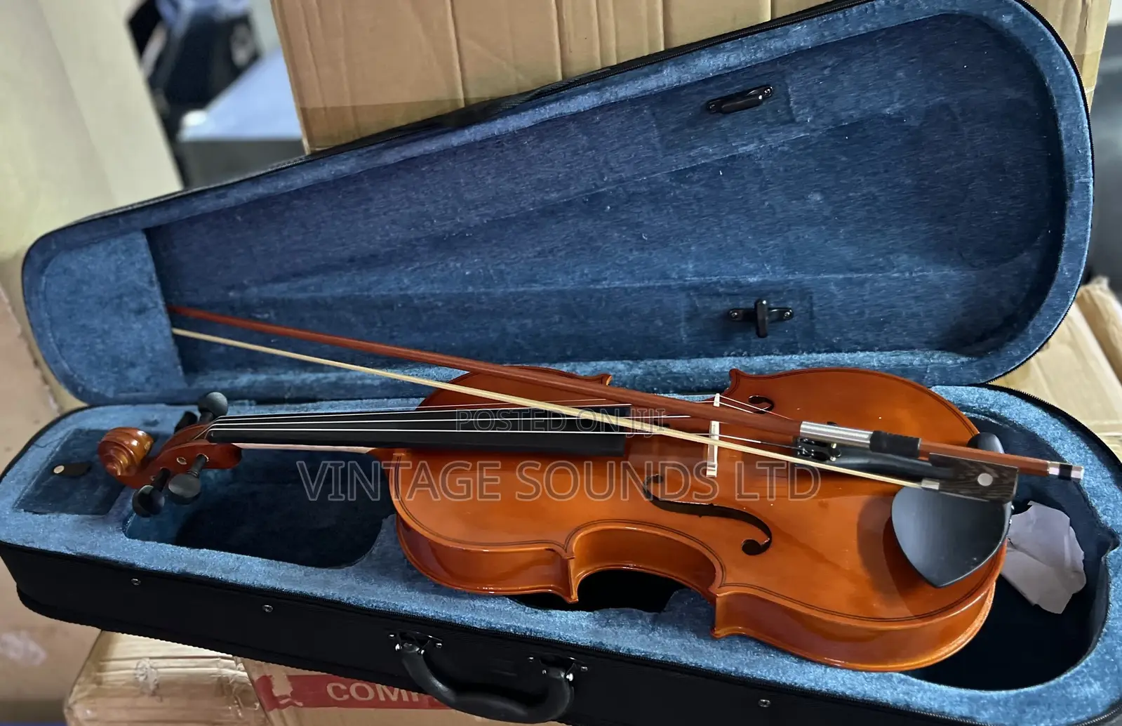 Best Maple Leaf Viola