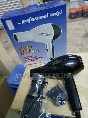 Professional Hair Dryer