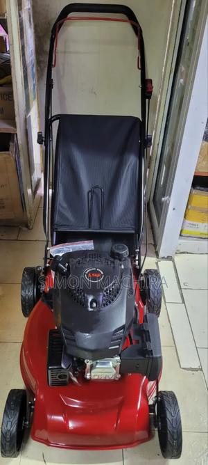 Lawn Mower 5.5hp - main view