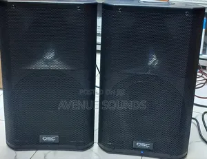 Public Address Powered Speaker