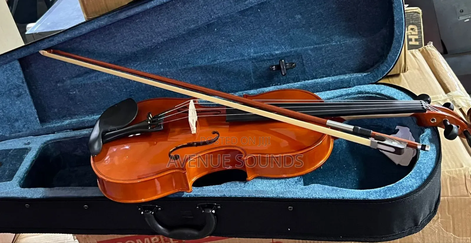 Maple Leaf Viola