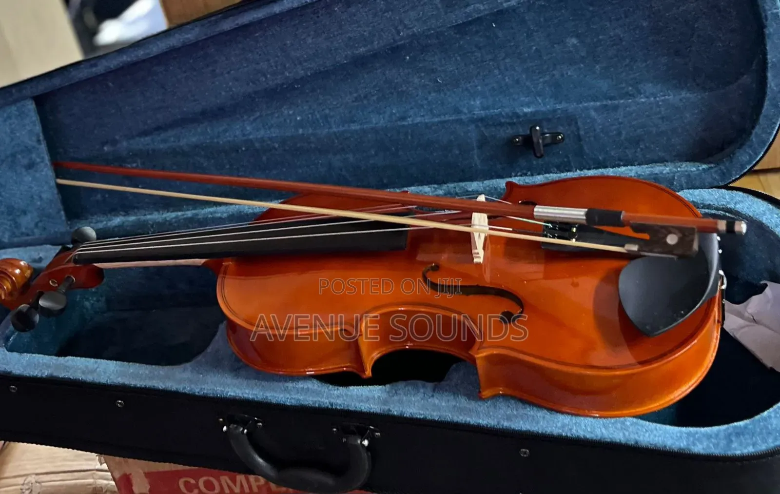 Maple Leaf Viola