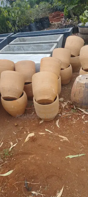 Snake Plant Pots,Clay Pots