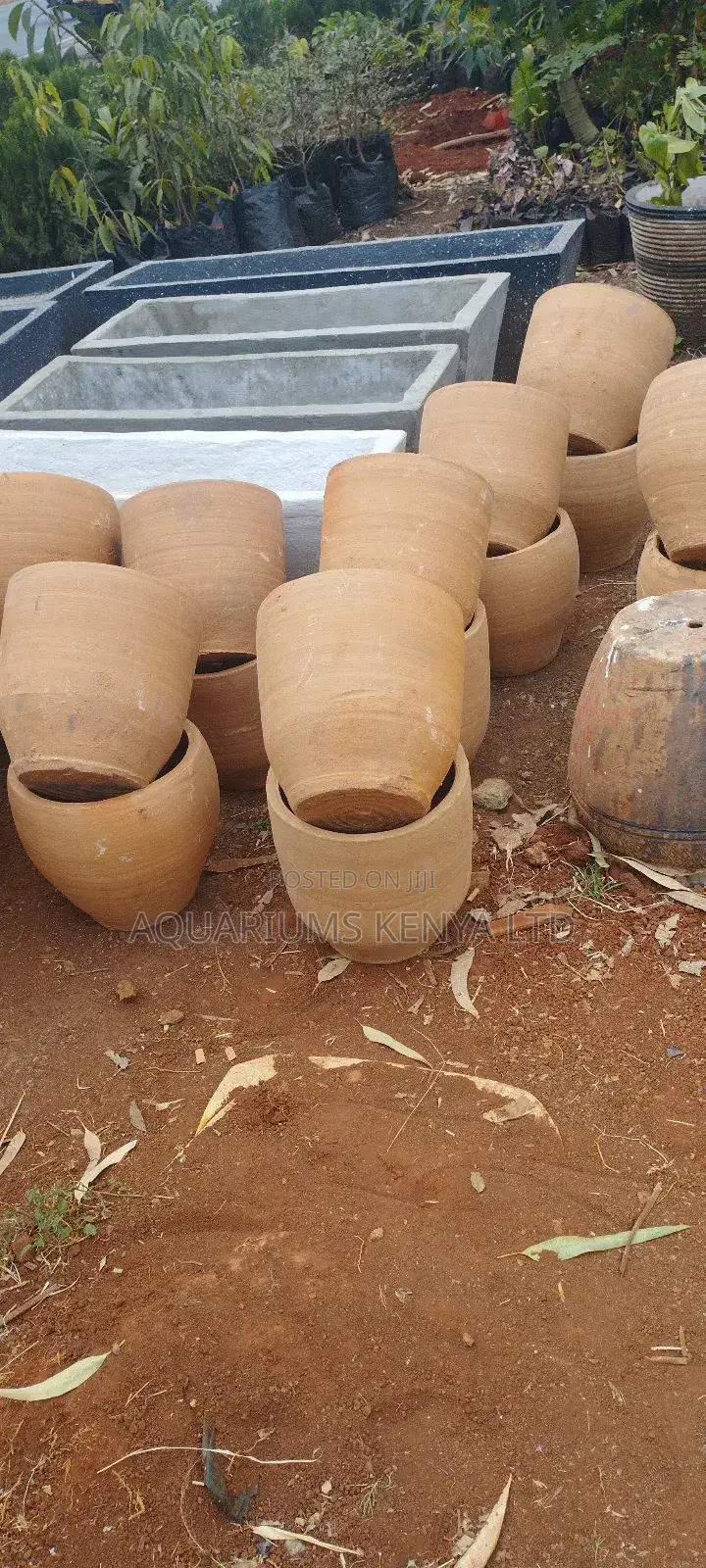 Snake Plant Pots,Clay Pots
