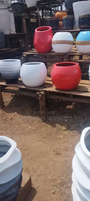 Fibre Pots,Potted Plants With Fibre Pots