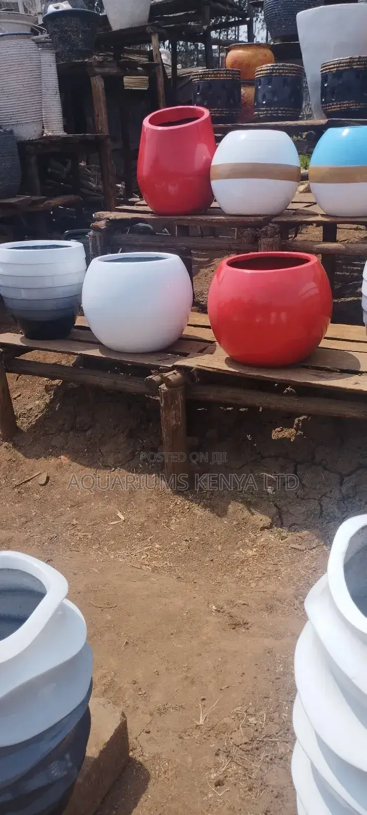Fibre Pots,Potted Plants With Fibre Pots