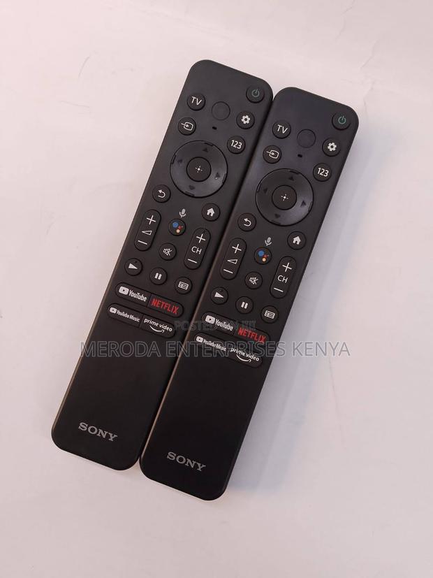 Sony Remote Control With Netflix - main view