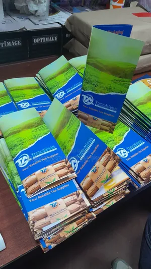 Efficient Brochures Printing