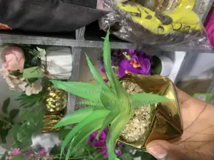 Artificial Succulent Plants