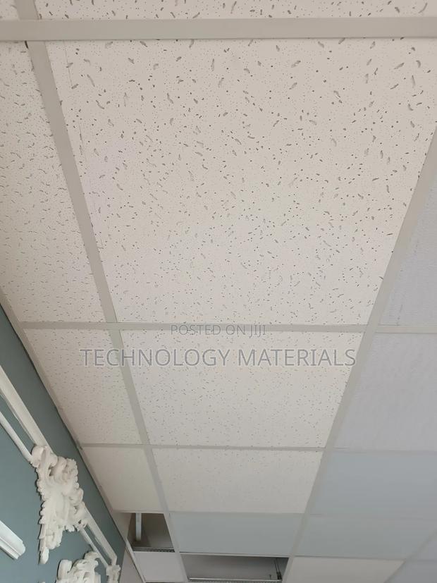 13mm Accoustic Ceiling - main view