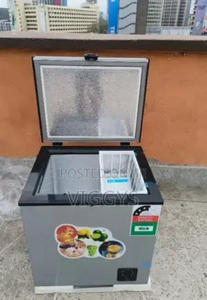 60 Litres Icecool Deep Freezer/60l Freezer IC60/FQ
