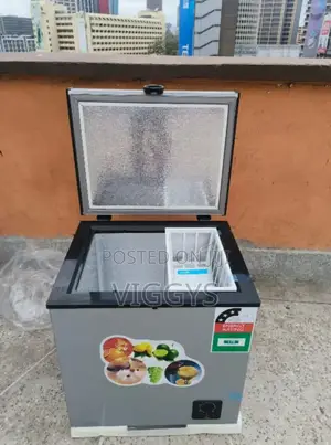 Quality 60 Litres Icecool Deep Freezer/60l Freezer IC60/FQ