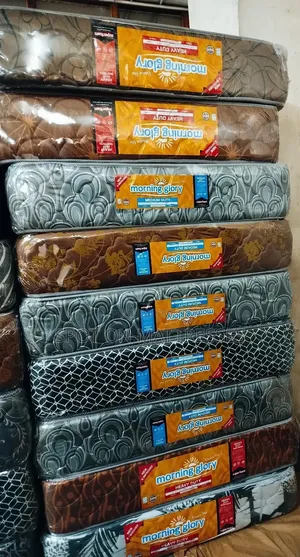 5by6 10inch Quilted Mattresses.