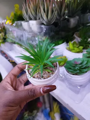 Mini Artificial Succulents