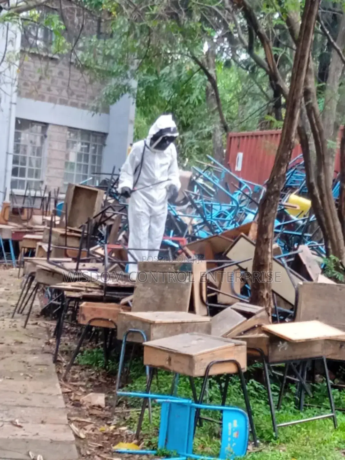Bee's Exterminator