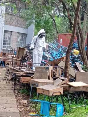 Bee's Exterminator
