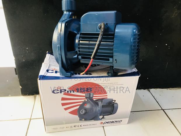 Pedrollo Water Pump. 1HP - main view