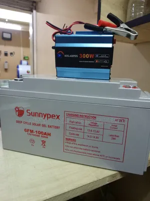 Sunnypex 100ah Solar Battery Plus 300watts Inverter