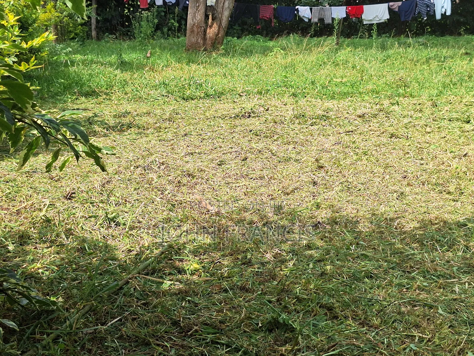 Brush Cutter for Hire , Comes With Multifunctional Heads