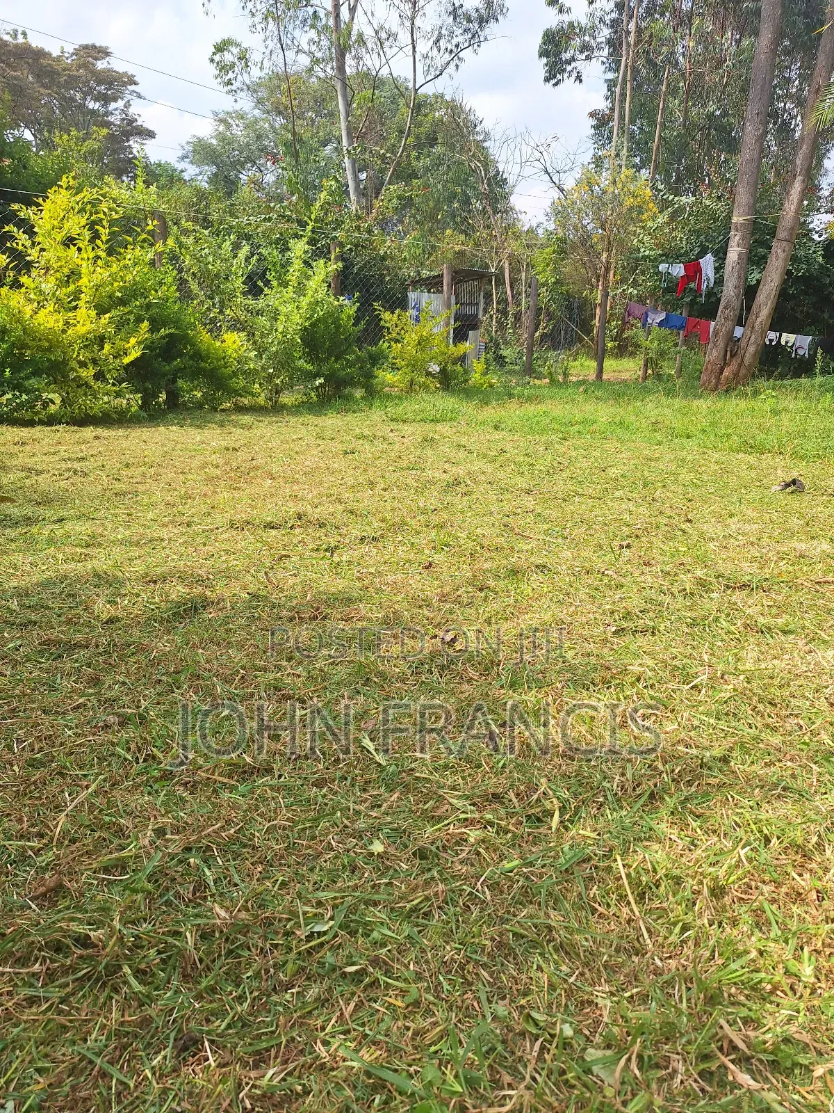 Brush Cutter for Hire , Comes With Multifunctional Heads