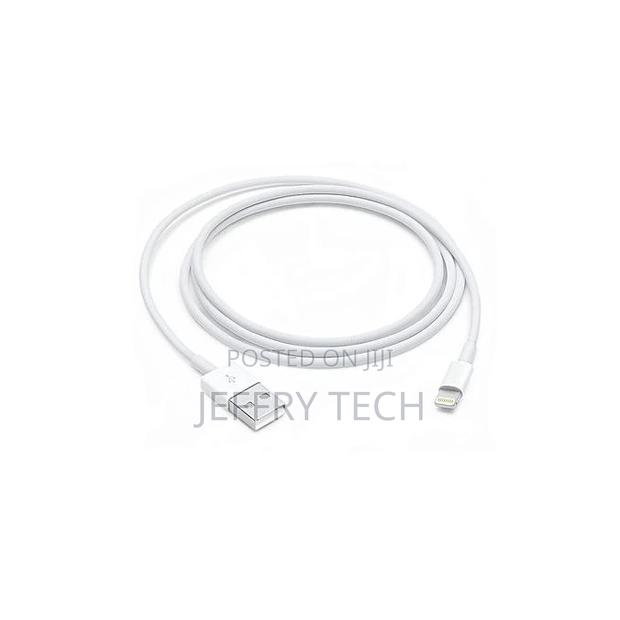 Lightning to USB Cable -2m - main view