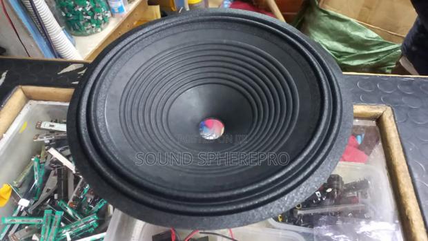 12 Inch Mid-Bass Speaker Diaphragm