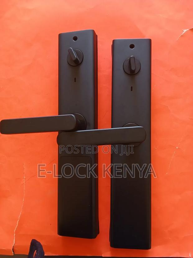 Biometric Locks With Online Passcode