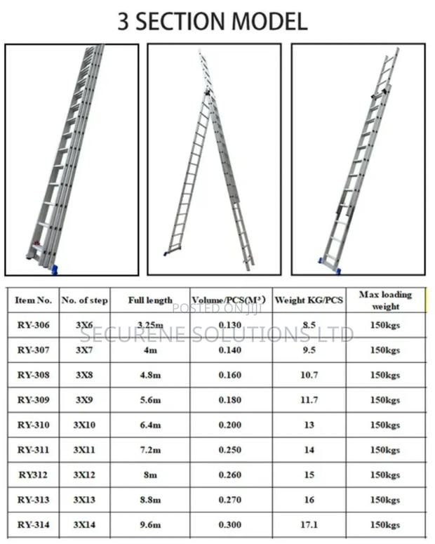 Tripple Extension Ladders - main view