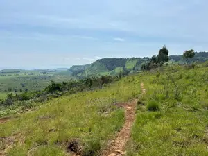 4bdrm Farm House in Munanda Area, Maili Kumi for sale