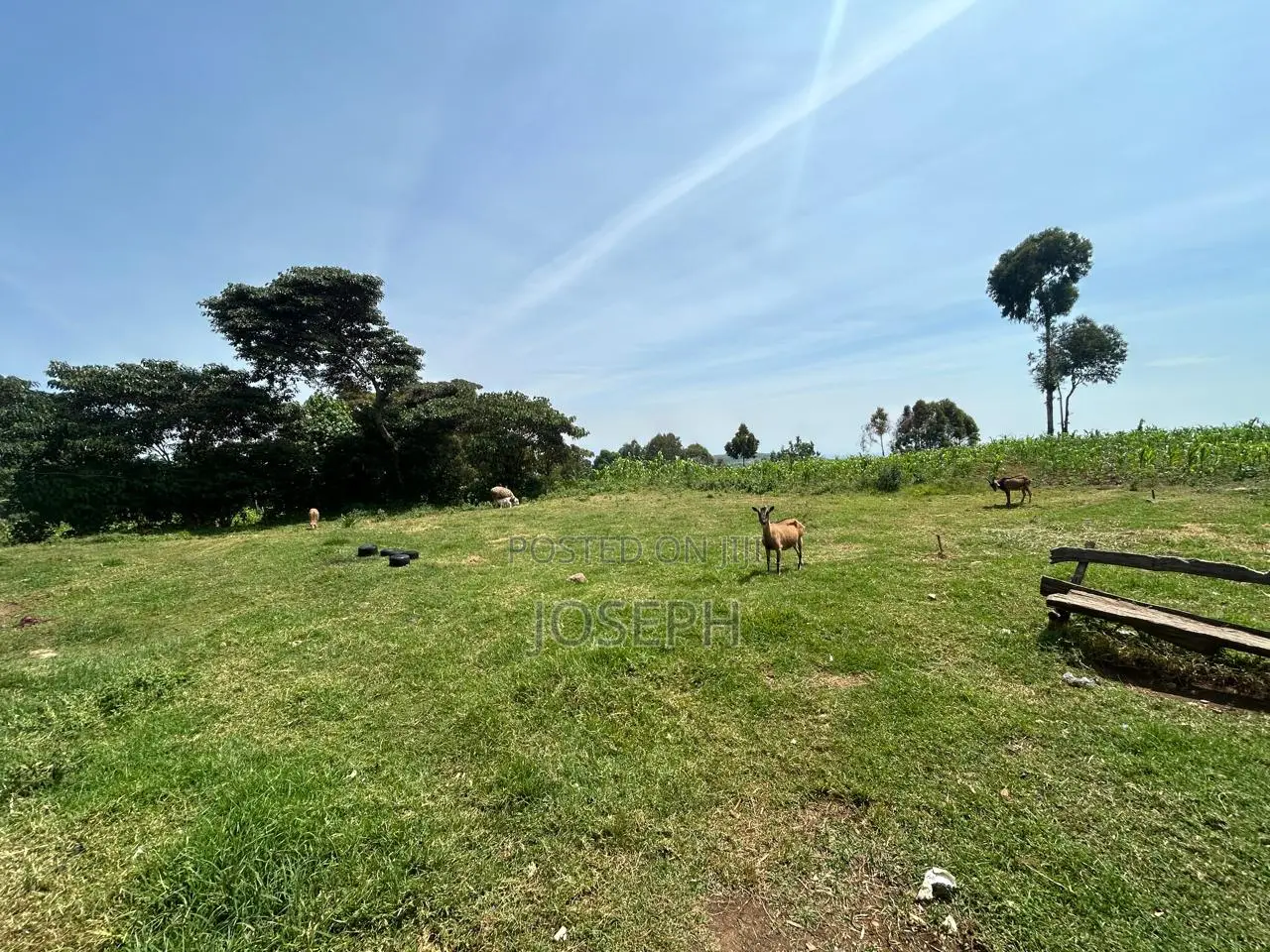 4bdrm Farm House in Munanda Area, Maili Kumi for sale
