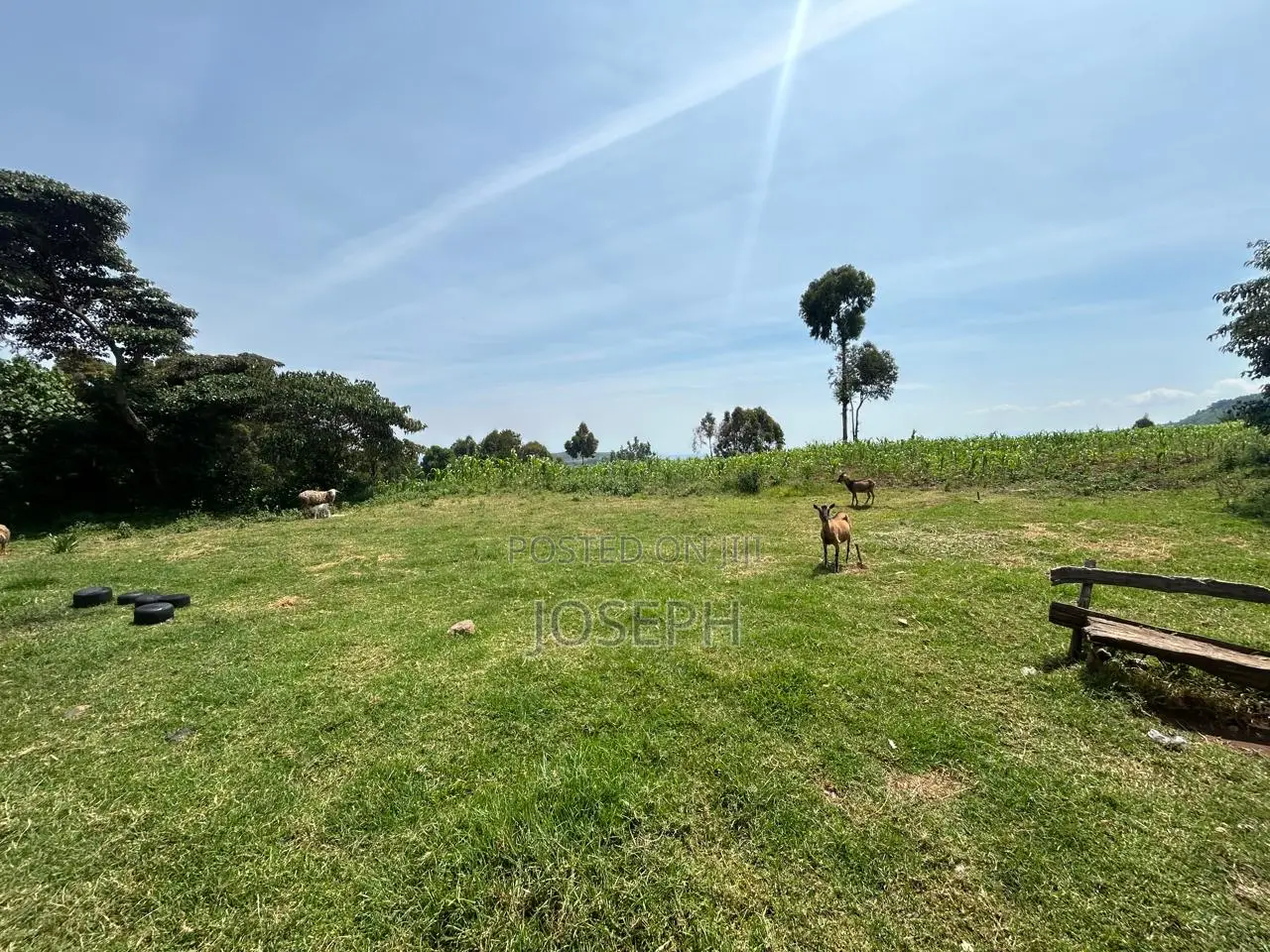 4bdrm Farm House in Munanda Area, Maili Kumi for sale