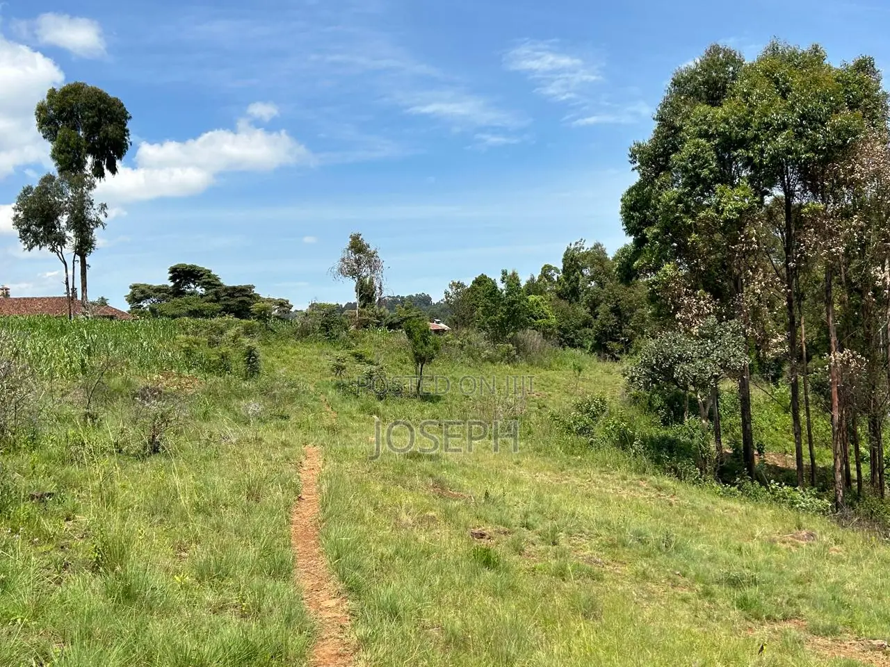 4bdrm Farm House in Munanda Area, Maili Kumi for sale