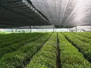 Black Shade Net Green Shade Net 55% Filtering - 4m by 50m