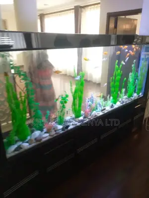 Aquarium Set-Up by Pros