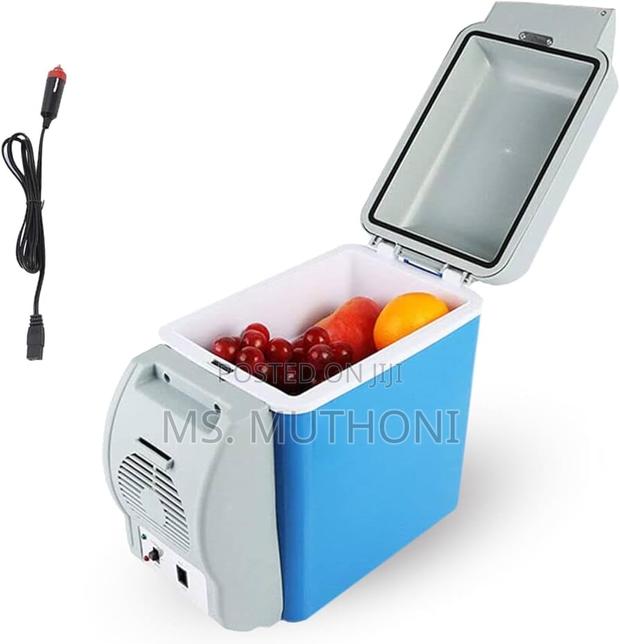 Traveling Fridge - thumbnail 4