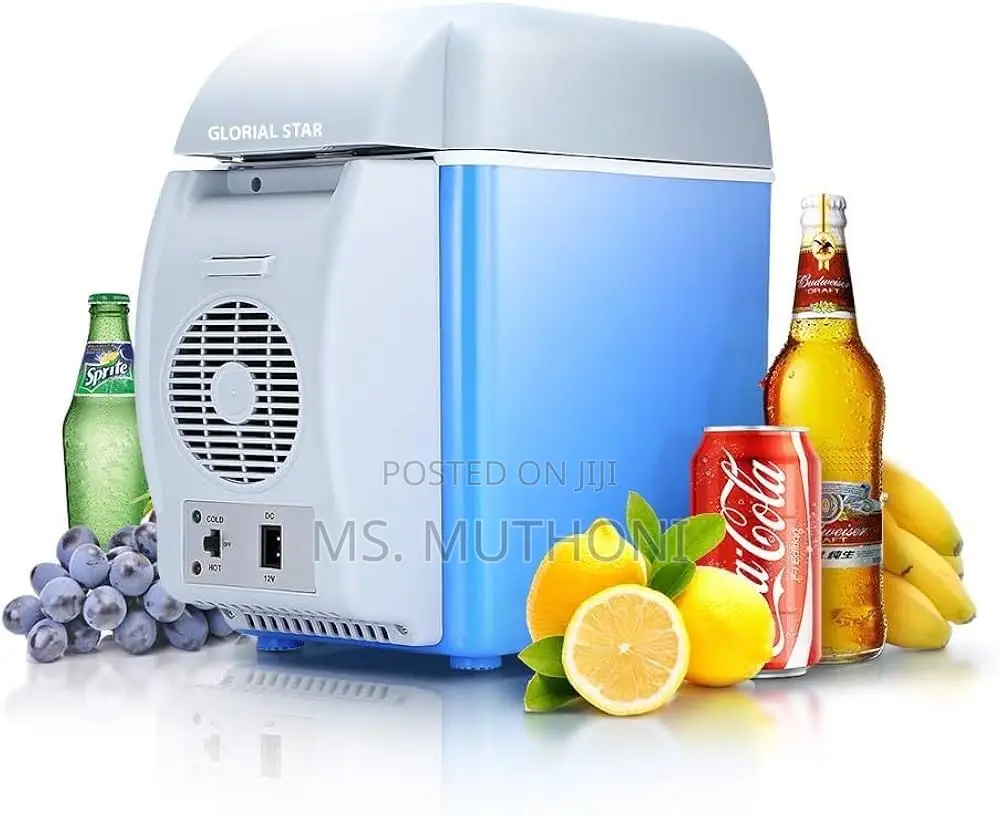 Traveling Fridge