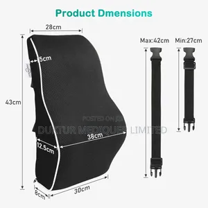 Ergonomic Memory Foam Back Cushion/ Lumber Support Pillow