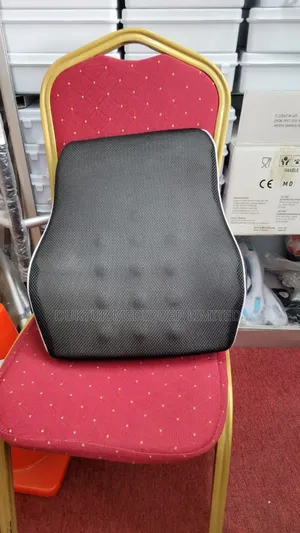 Ergonomic Memory Foam Back Cushion/ Lumber Support Pillow