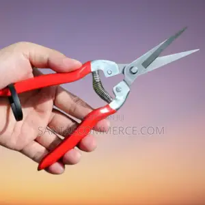 Fruit Shears