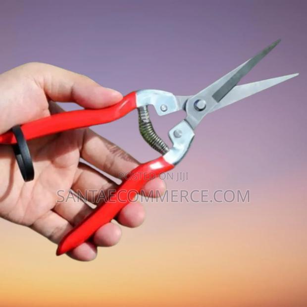 Fruit Shears - main view