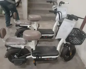 Electric Bike (E-Bike)
